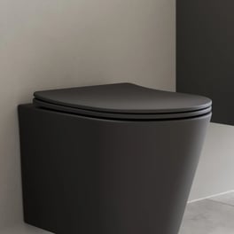 Coloured Toilet Seats