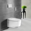 Geberit Disabled Toilets