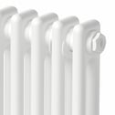 park-lane-traditional-colosseum-double-bar-column-radiator-white-300-x-425mm