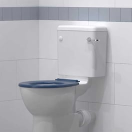 Lever Flush Toilets