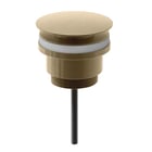 scudo-universal-basin-waste-brushed-brass