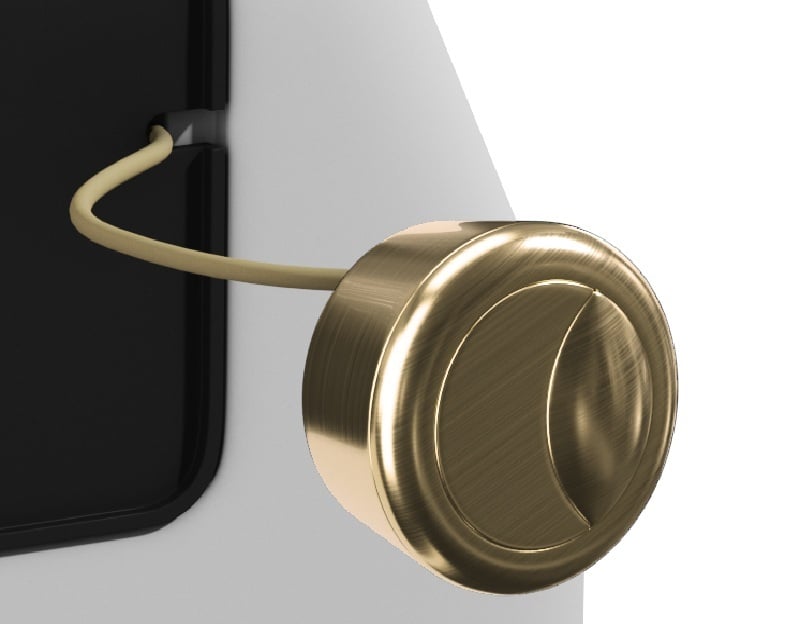 Essentials Dual Flush Brushed Brass Push Button