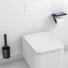 hansgrohe-wallstoris-toilet-bundle-matt-black