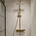 Brushed Brass Shower Collection