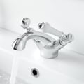 Traditional Accessible Taps