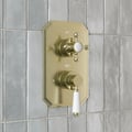 Traditional Concealed Shower Valves