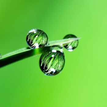 Aqualisa Visage Q Thermostatic Smart Shower Concealed Adjustable Fixed Heads 17 Aqualisa Visage Q Thermostatic Smart Shower Concealed Adjustable Fixed Heads -Bathroom Faucet Store AAHKMJXYDAFdJAOAIMEbOAchED4hv2lrnWvm4d1d0OKjLvy9p38ZpmPSMgono3YS1WhEkJgTxXYcAY 56F kAR7NaC1eshFsjTg41tBsrEBbMZxB7d786elDEXnaeXkWXQBBc4HeIJqACfqUto7Sm0Yi6 kZb0QN1PwzNwh0gk0ZQf7PJxTfRofOrAy2hutU7xX2gNLrVE0Jnv6UQ1LMcIg