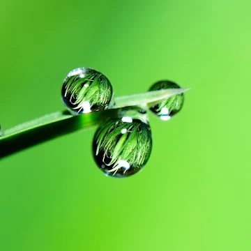 Aqualisa Optic Q Smart Shower Concealed Adjustable Head High Pressure/Combi 17 Aqualisa Optic Q Smart Shower Concealed Adjustable Head High Pressure/Combi -Home Sale Shop AAHKMJXYDAFdJAOAIMEbOAchED4hv2lrnWvm4d1d0OKjLvy9p38ZpmPSMgono3YS1WhEkJgTxXYcAY