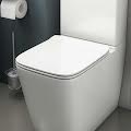 Square Toilet Seats