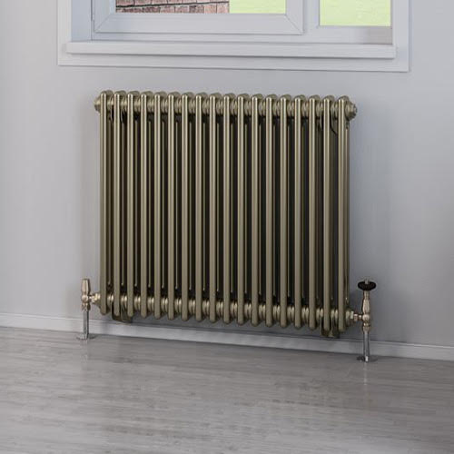Eastlake Rivassa 600 x 833mm Traditional 2 Column Radiator - Bronze Effect