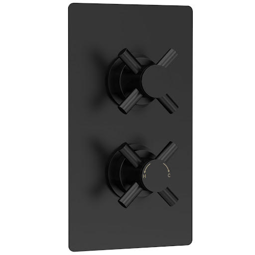 Hudson Reed Tec Concealed Thermostatic Shower Valve with Diverter - Black, Twin Outlet
