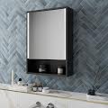 Black Bathroom Mirrors
