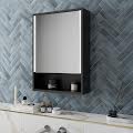 Bathroom Mirror Cabinets – Single Door