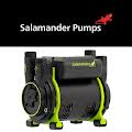 Salamander Shower Pumps