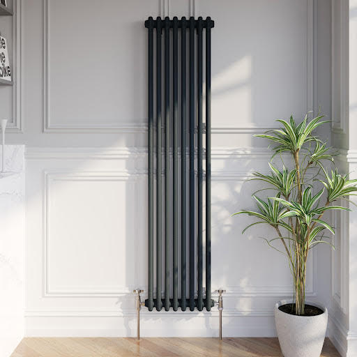 Park Lane Traditional Vertical Colosseum Double Bar Column Radiator Anthracite - 1600 x 380mm