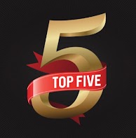 top-5-saniflo-problems