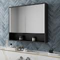 Bathroom Mirror Cabinets – Double Door