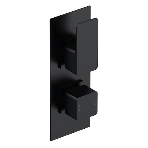 Aquari Quadro Concealed Thermostatic Shower Valve - Black, Twin Outlet